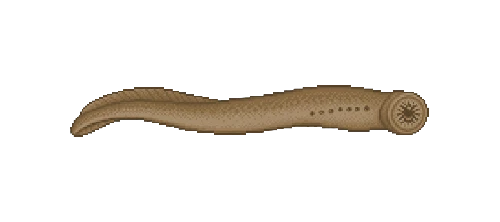 American Brook Lamprey
