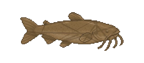 Andean Catfish