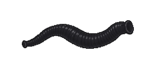 Andean Leech