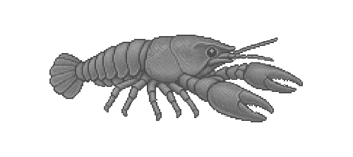 Appalachian Crayfish