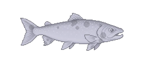 Arctic Char