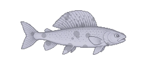 Arctic Grayling