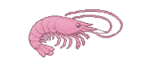 Northern Prawn