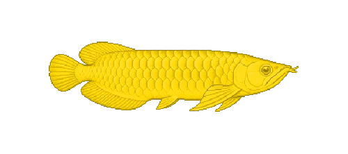 Asian Arowana