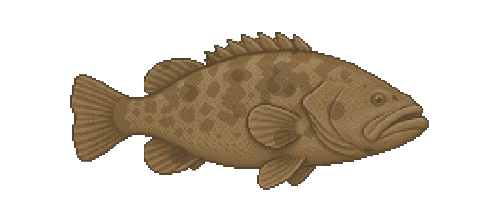 Giant Grouper
