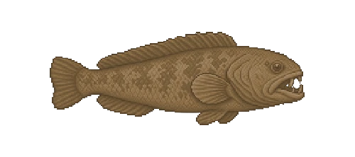 Atacama Eelpout