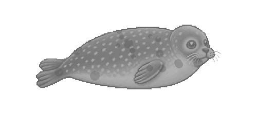 Baikal Nerpa