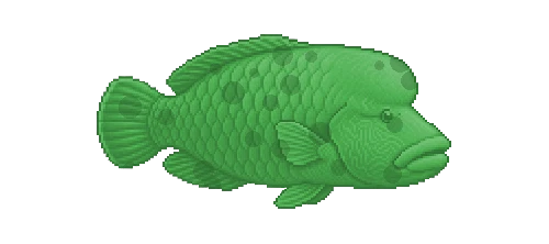 Ballan Wrasse