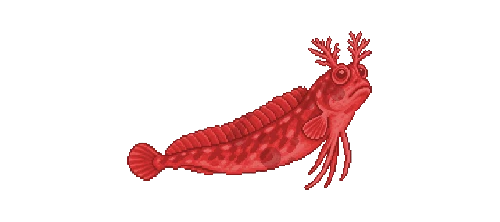 Barnacle Blenny