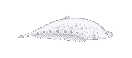 Blind Knifefish