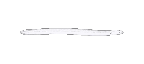 Blind Swamp Eel