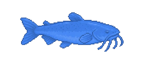 Blue Catfish