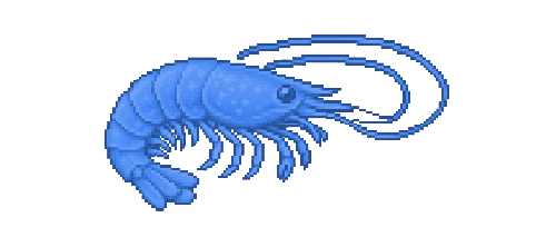 Blue Grotto Shrimp