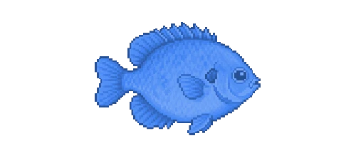 Bluegill