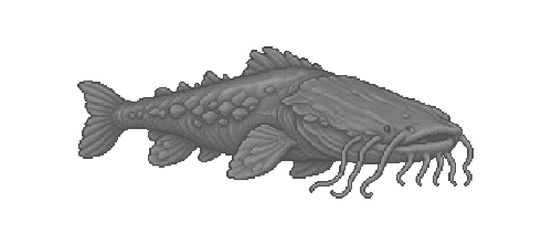 Boulderfin Catfish
