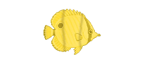 Butterflyfish