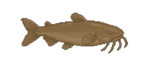 Caldera Catfish
