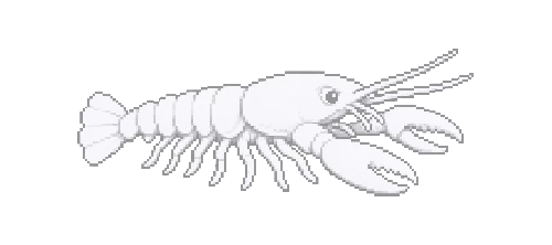 Cave Crayfish