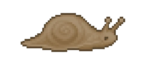 Cave Spring Snail