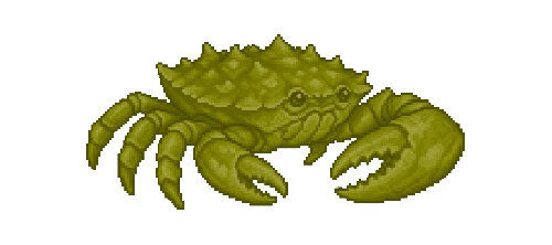 Chinese Mitten Crab