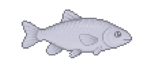 Creek Chub