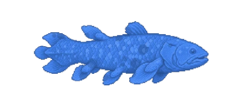 Indonesian Coelacanth