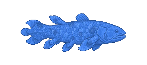 Atlantic Coelacanth