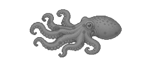 Curled Octopus