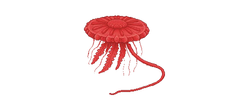 Atolla Jellyfish