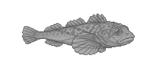 Deepwater Sculpin