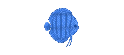 Discus
