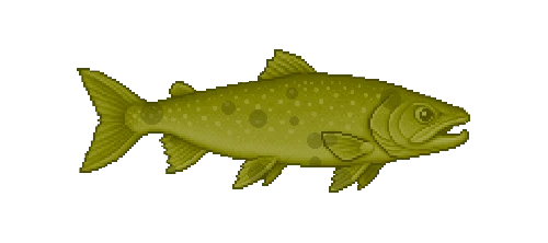 Dolly Varden