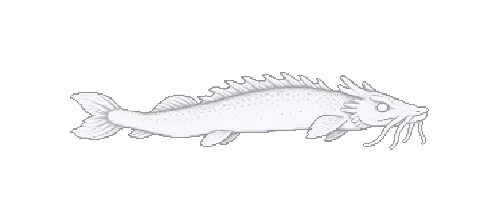 Dragon Cave Fish