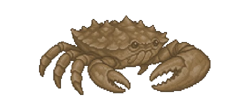Edible Crab