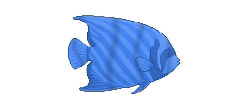 Emperor Angelfish