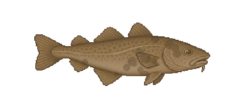 Northeast Arctic Cod