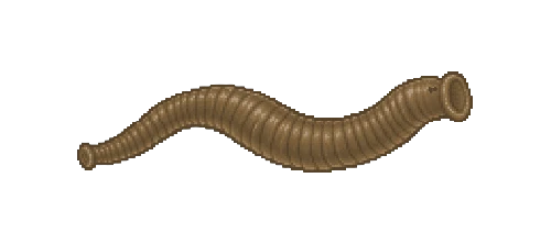 Grotto Leech