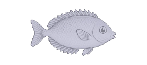 Rabbitfish