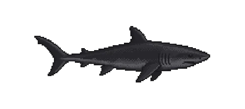 Velvet Belly Lanternshark