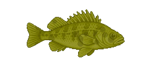 Ruffe
