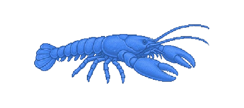 European Lobster