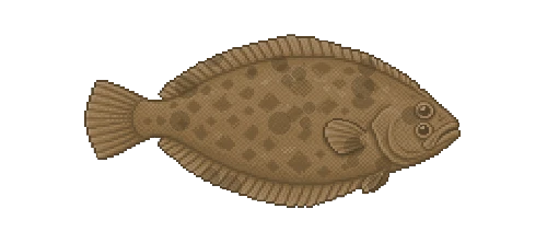 Arctic Plaice