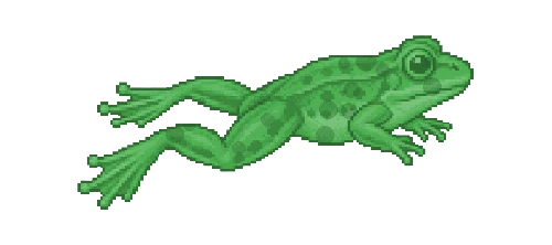 Fire-bellied Toad