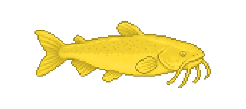 Flathead Catfish