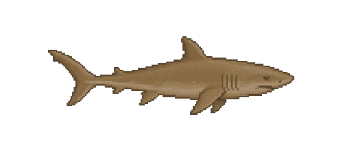 Frilled Shark