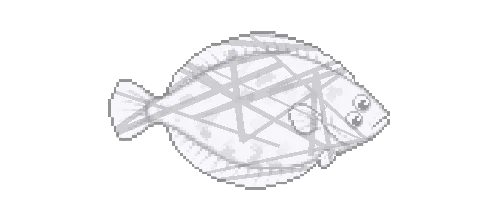 Frostbite Flounder