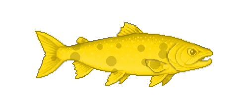 Fuji Golden Charr