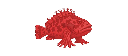 Giant Hawkfish