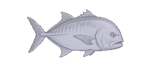 Giant Trevally