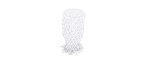 Venus Flower Basket
